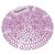 Lasting Power Urinal Screen Deodorizer  Lavender Lace Scent 71/4 x 1/16 Purple Deodorizer